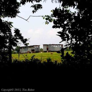 Working with the Polyface Eggmobile Image